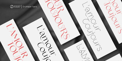 Erotique Sans Font Poster 13