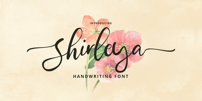 Shirleya Script Font Poster 1