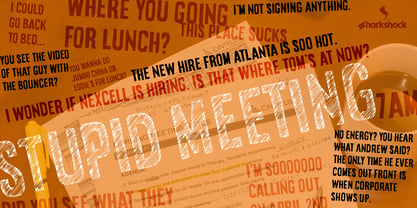 Stupid Meeting Font Poster 1