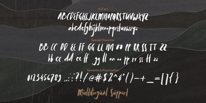 Mollroy Font Poster 11