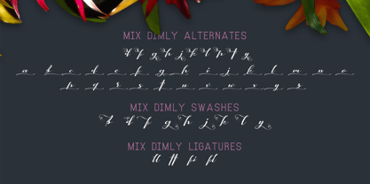 Mix Dimly Font Poster 11