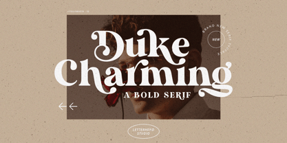 Duke Charming Font Poster 1
