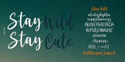 Stay Wild Font Poster 7