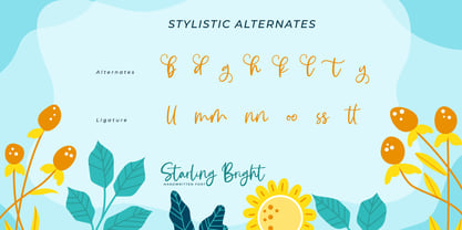 Starling Bright Font Poster 8