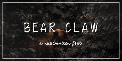 Bear Claw Fuente Póster 1