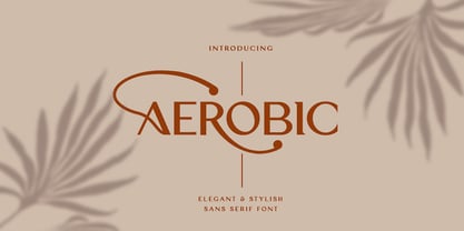 Aerobic Font Poster 1