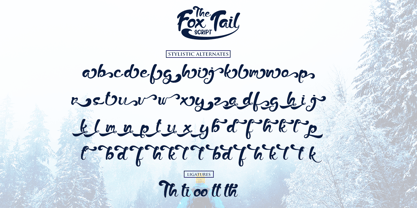 The Fox Tail Font Poster 8