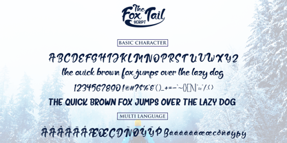 The Fox Tail Font Poster 7