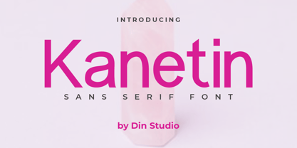Kanetin Fuente Póster 1
