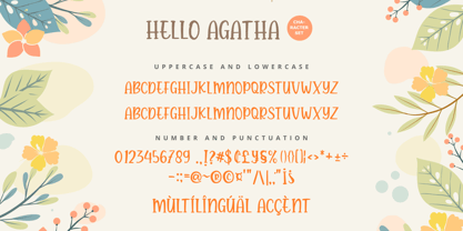Hello Agatha Font Poster 10