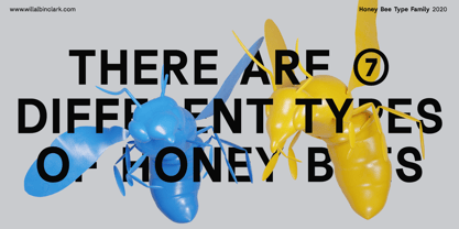 AC Honey Bee Font Poster 4