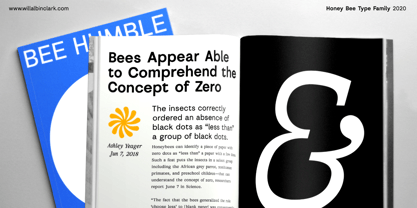 AC Honey Bee Font Poster 5