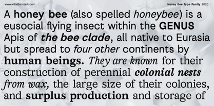AC Honey Bee Font Poster 2