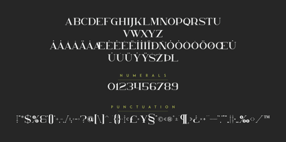 Kavo Serif Font Poster 9