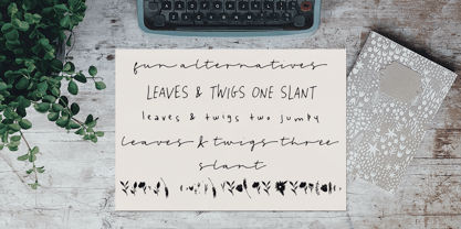 Leaves and Twigs Font Poster 14