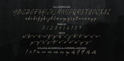 Hillusy Font Poster 7