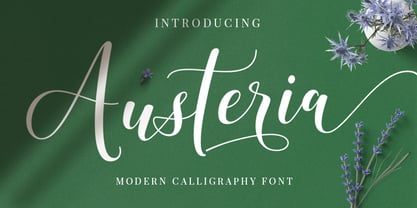 Austeria Script Font Poster 1