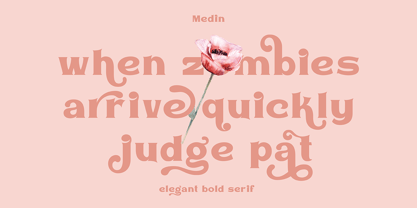 Medin Font Poster 5