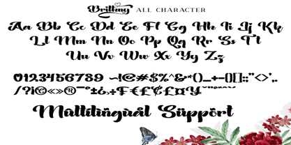 Brithny Font Poster 9