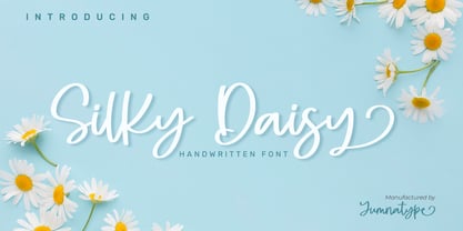 Silky Daisy Fuente Póster 1