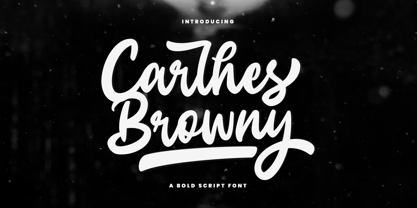 Carlhes Browny Font Poster 1