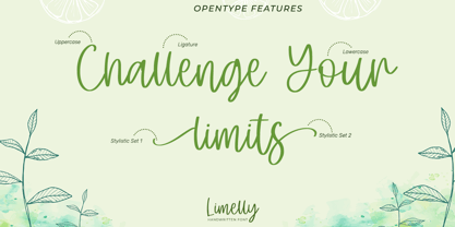 Limelly Font Poster 6