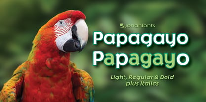 Papagayo Font Poster 3