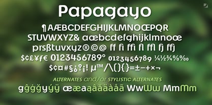 Papagayo Font Poster 5