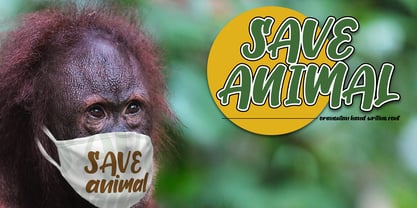 Orangutan Font Poster 4