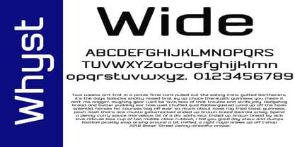 Whyst Font Poster 3