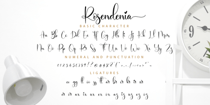 Rosendenia Font Poster 11