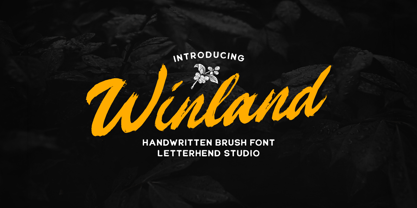 Winland Font Poster 1