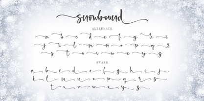 Snowbound Font Poster 10