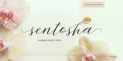 Sentosha Script Font Poster 1