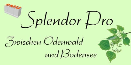 Splendor Pro Font Poster 1
