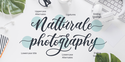 Madista Calligraphy Font Poster 8