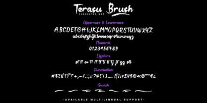 Terasu Brush Font Poster 5