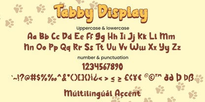 Tabby Font Poster 8
