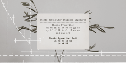 Thesis Typewriter Font Poster 8