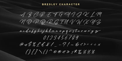 Bresley Font Poster 8