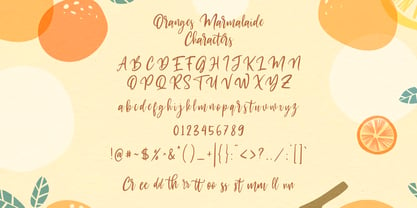 Oranges Marmalaide Font Poster 6