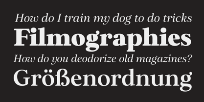 Elgraine Font Poster 5