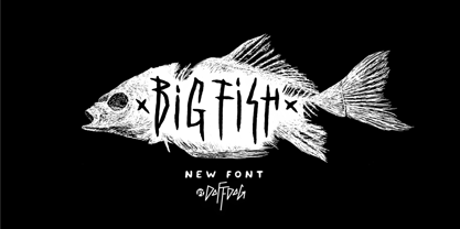 Big Fish DD Font Poster 1