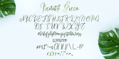 Beauty Green Font Poster 6