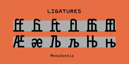 Monofontis Font Poster 8