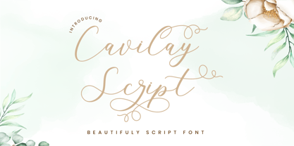 Cavilay Script Font Poster 1