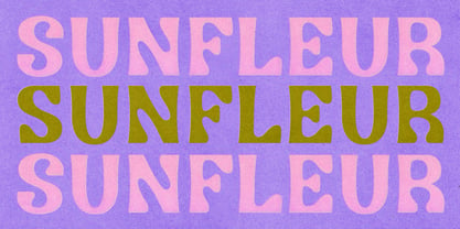 Sunfleur Fuente Póster 1