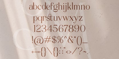 Mitchaella Luxury Serif Font Poster 13
