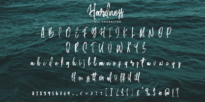 Hardness Font Poster 9