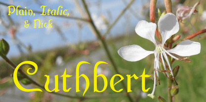 Cuthbert Font Poster 2